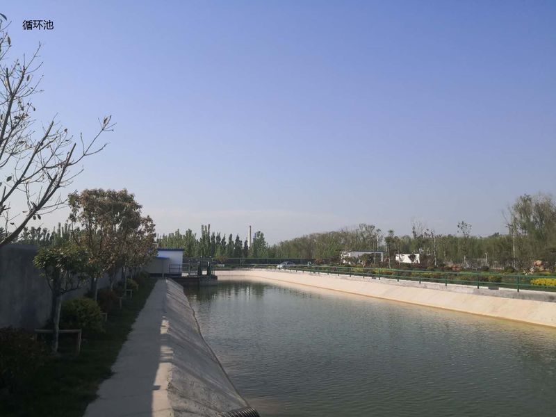 La Cina Shandong Xingshun New Material Co., Ltd. Profilo aziendale 